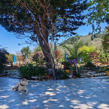 Εξοχική Κατοικία - Cottage Τίνα Líri Dış mekan fotoğraf