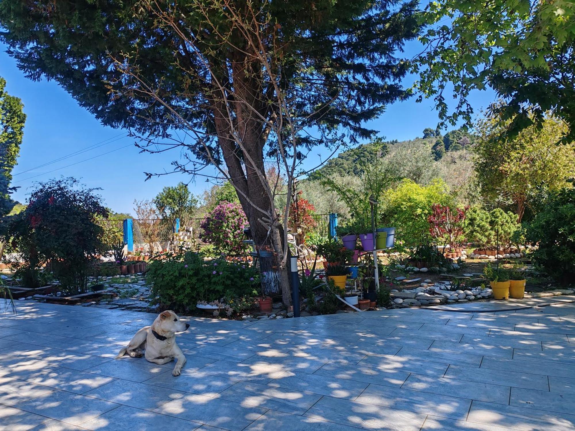 Εξοχική Κατοικία - Cottage Τίνα Líri Dış mekan fotoğraf